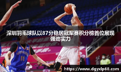 深圳羽毛球队以87分稳居冠军赛积分榜首位展现强劲实力